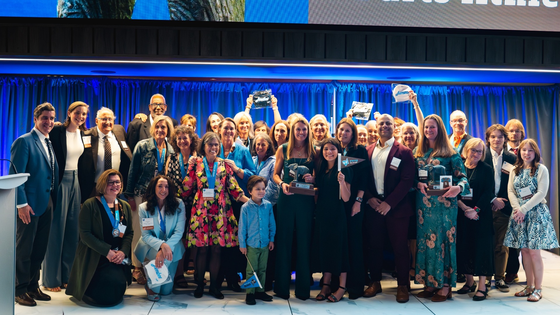 Members of the 2026 Tufts Athletics Hall of Fame gather on the stage at Gillette Stadium.