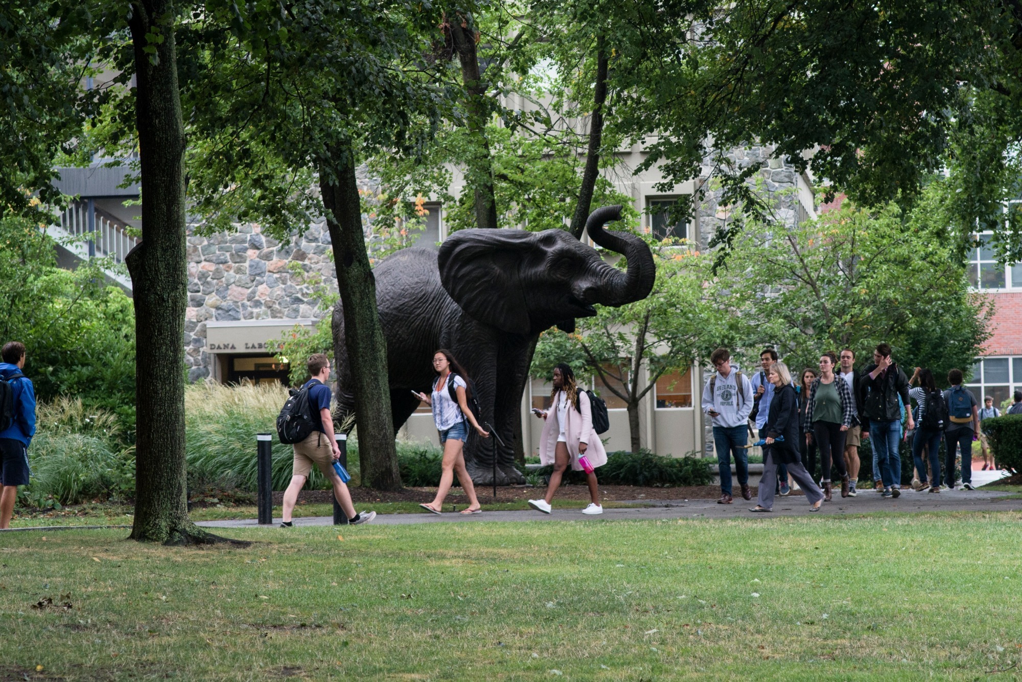 This is the stock photo for 2025-26 Tufts Athletics Academic Awards release.