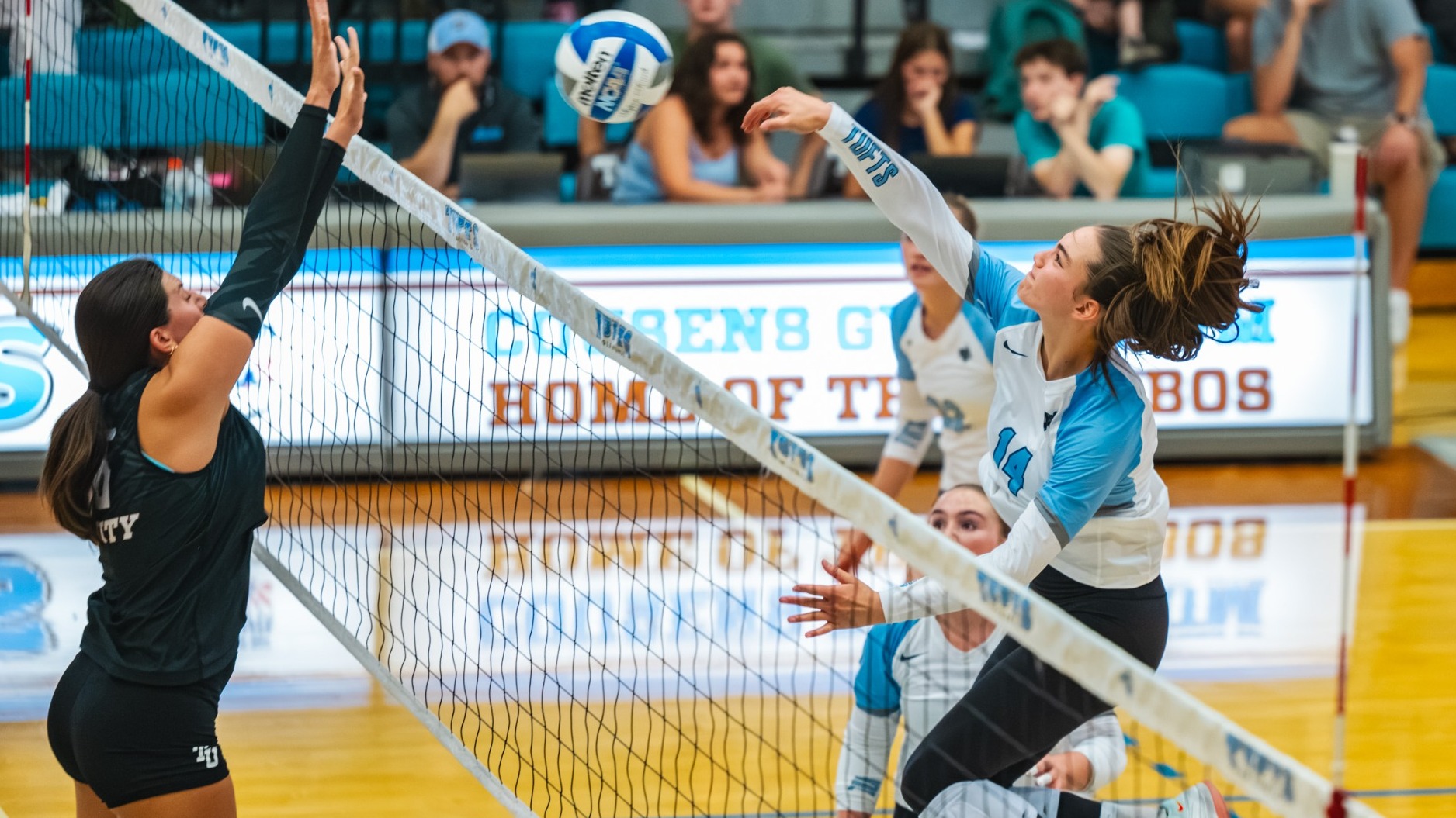 Hazel Nelson Attacks Against Trinity College September 11, 2026.