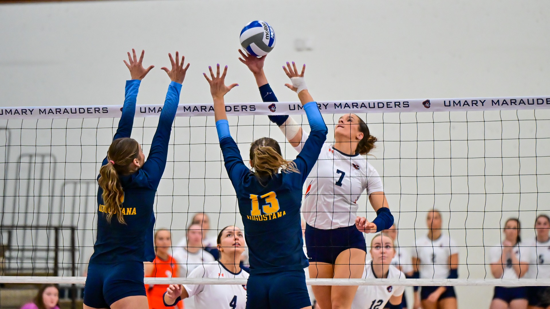 Holli Klettheimer attack against AU