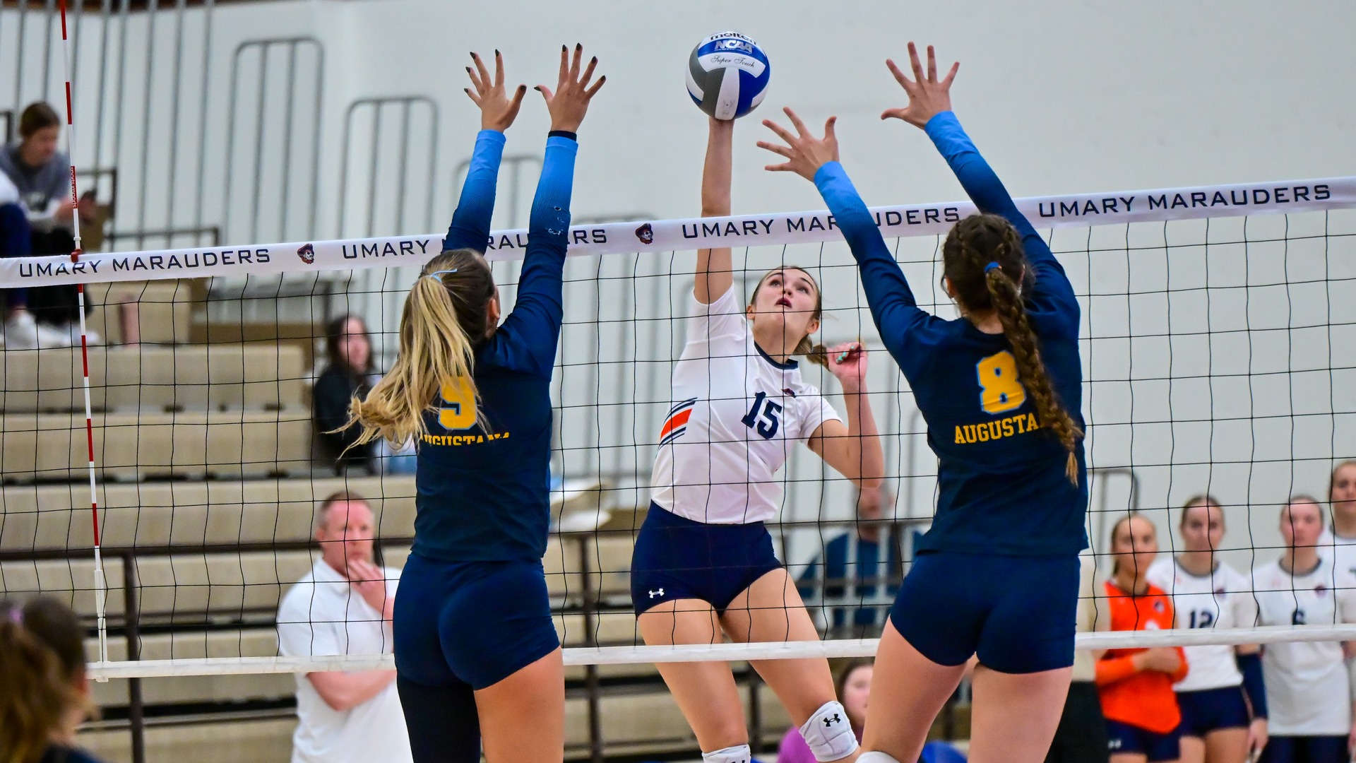 Myra Newman attack against AU