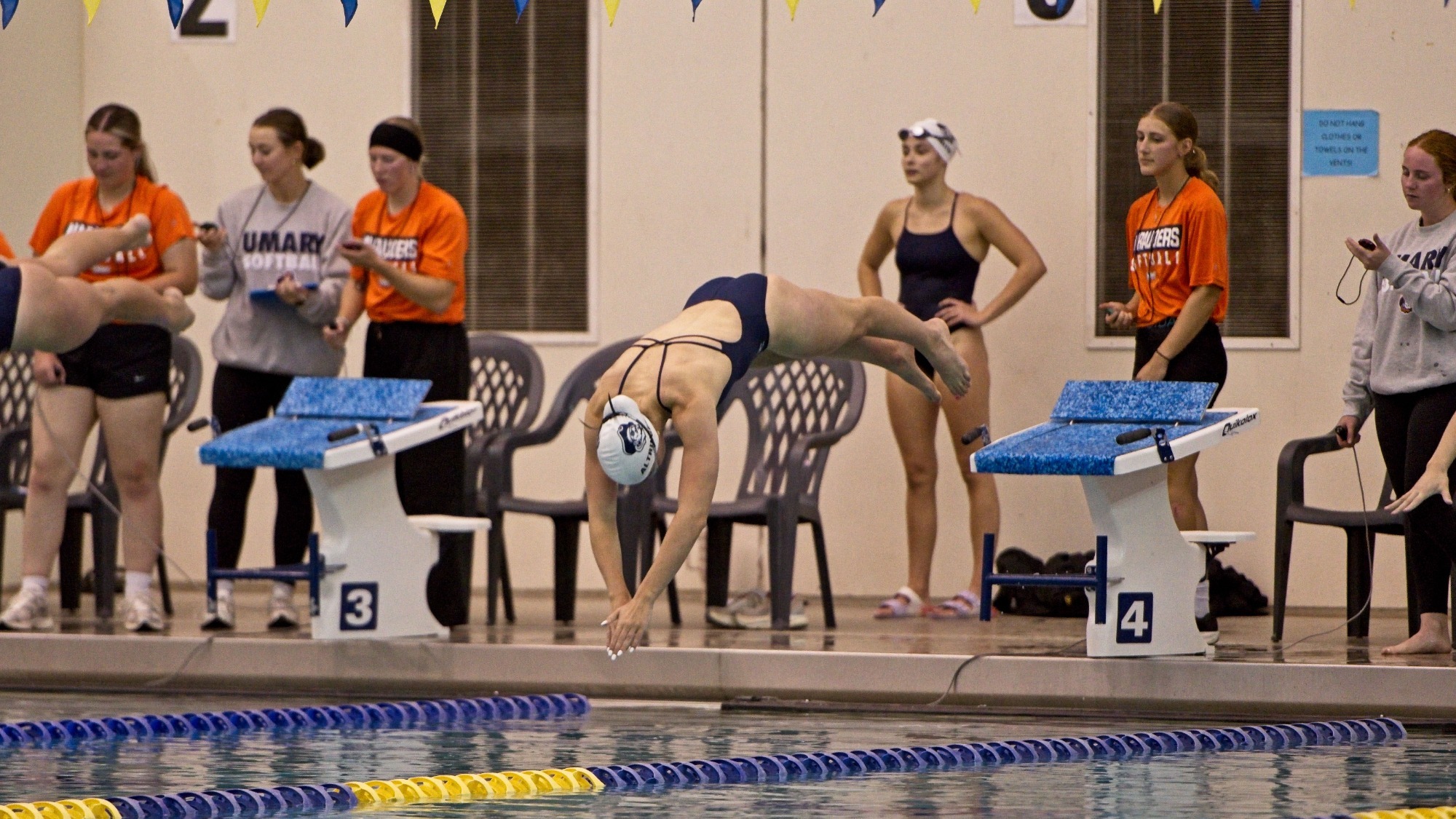 Elise Altringer diving into the pool