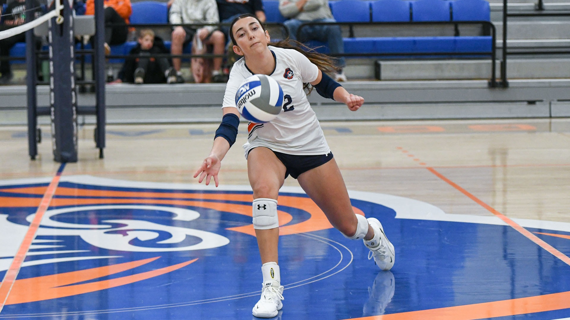 Sophia Heringer dig