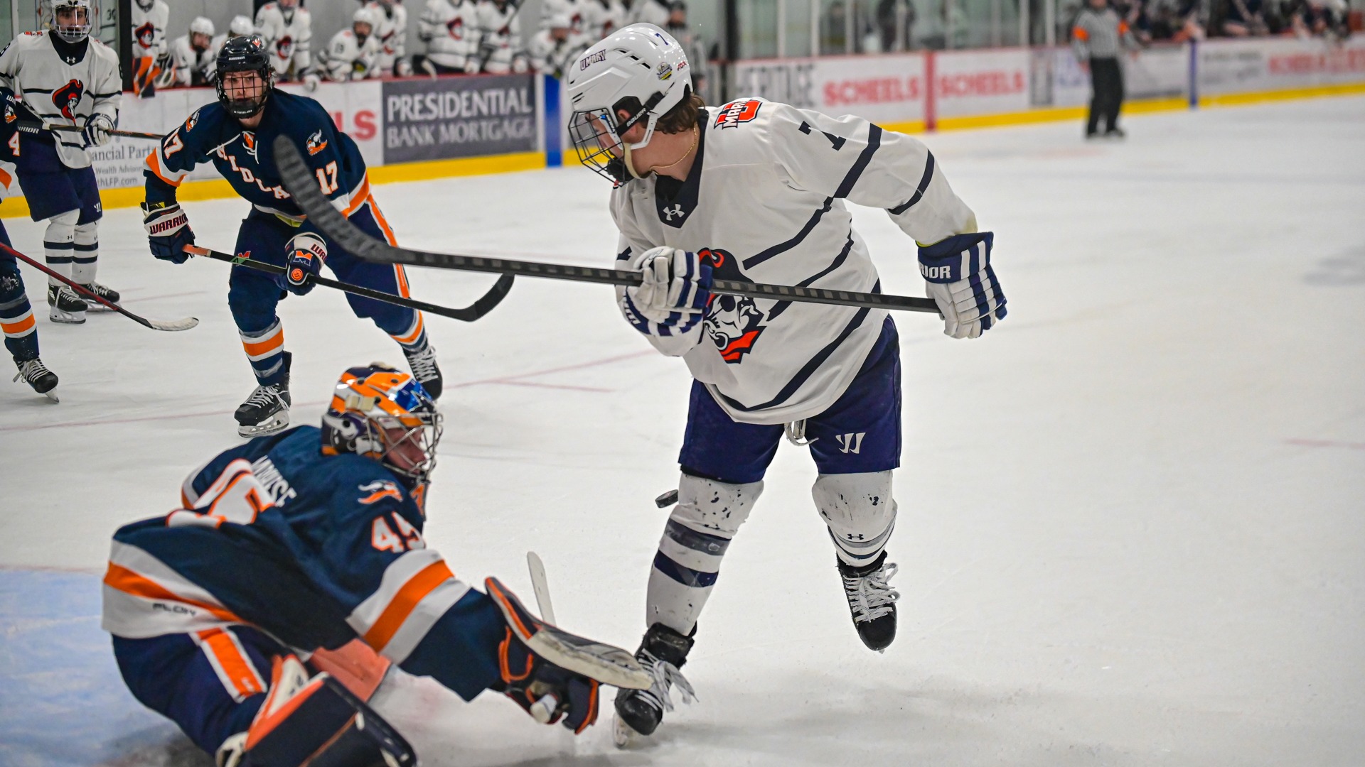 Alex Senf crashes the net