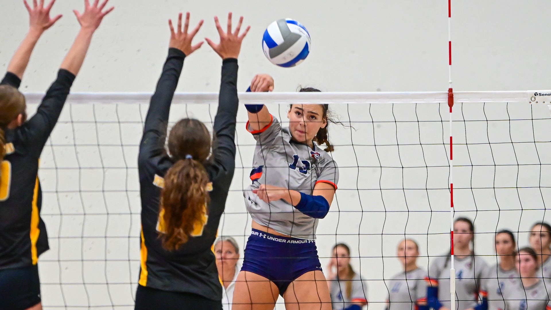 Gabrielle Reynolds attack against BHSU