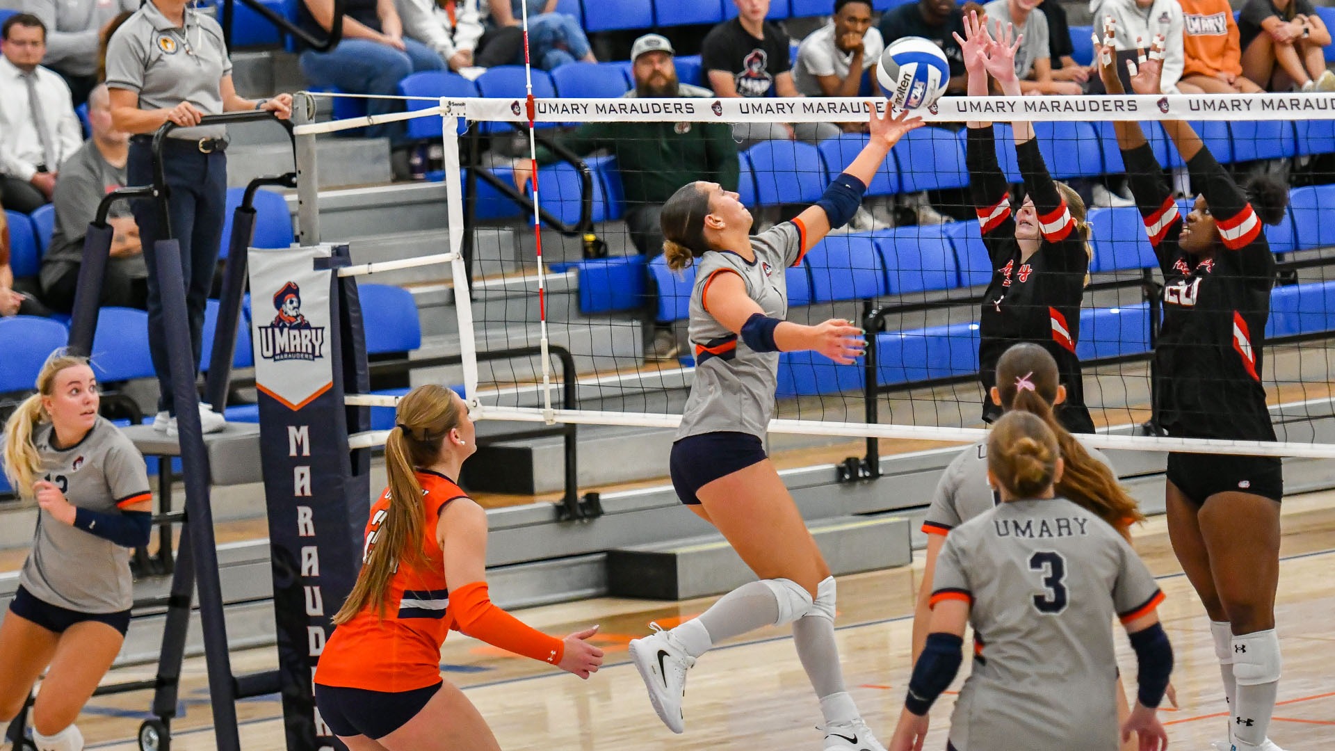 Judith Burke against Minot
