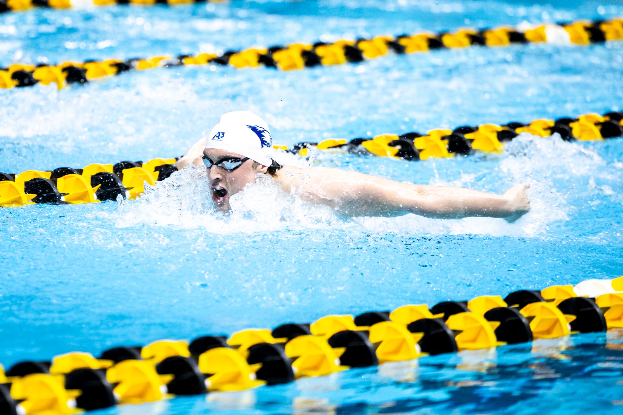 Fourth day of Summit League Swimming & Diving championship finals, Saturday, Feb. 21, 2026, at the Campus Recreation & Wellness Center (CRWC) in Iowa City, Iowa.  MANDATORY CREDIT: Joseph Cress/Think Iowa City