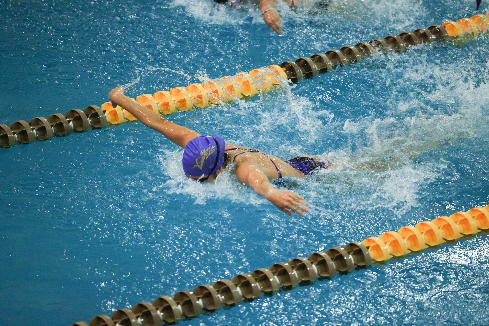 2025 Women's Swimming