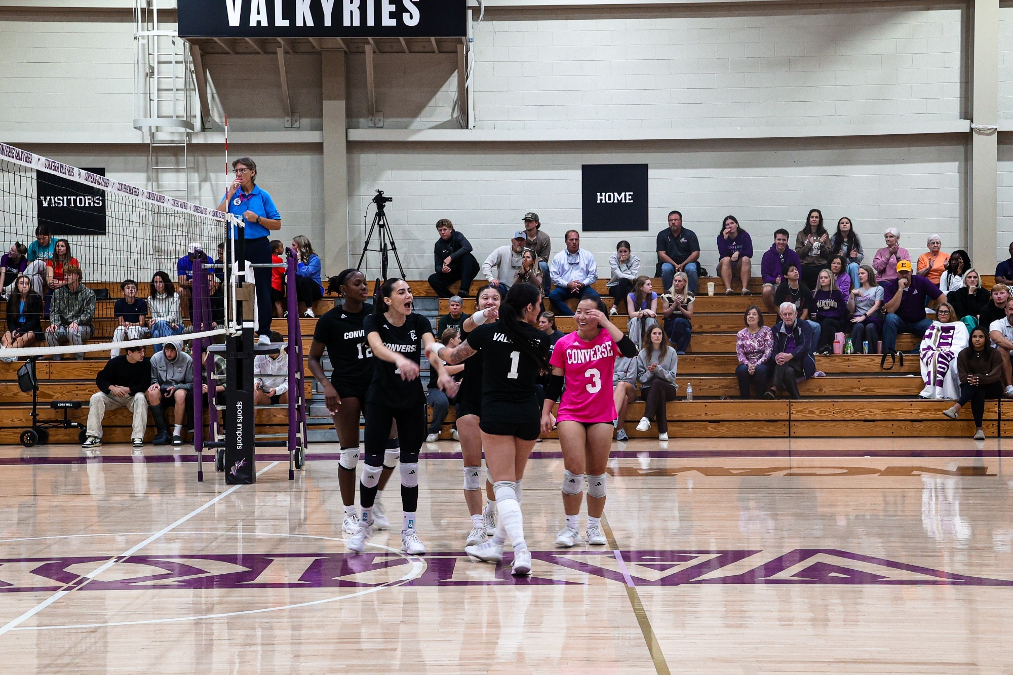 2026 Volleyball Celebration