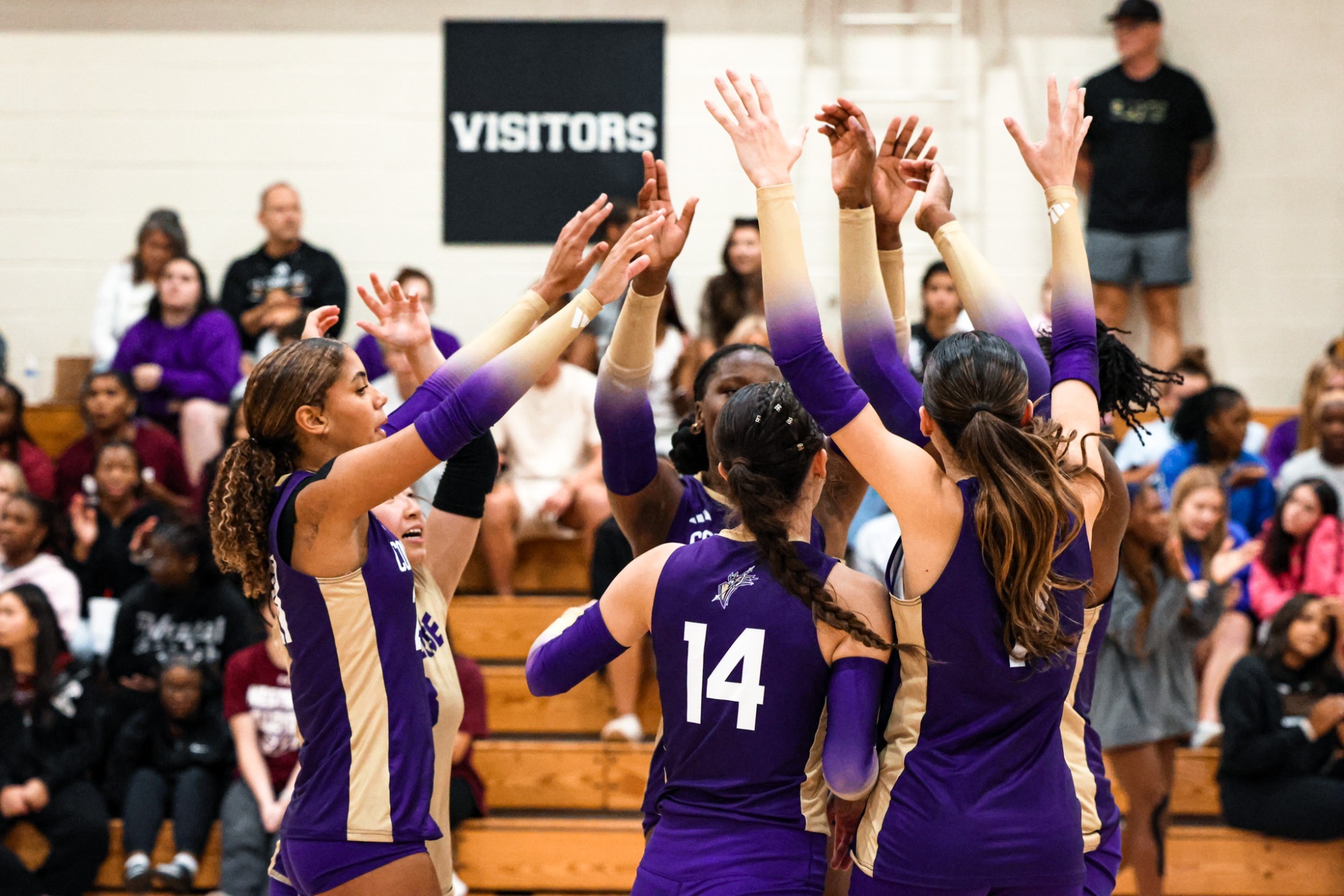 2026 Volleyball Celebration