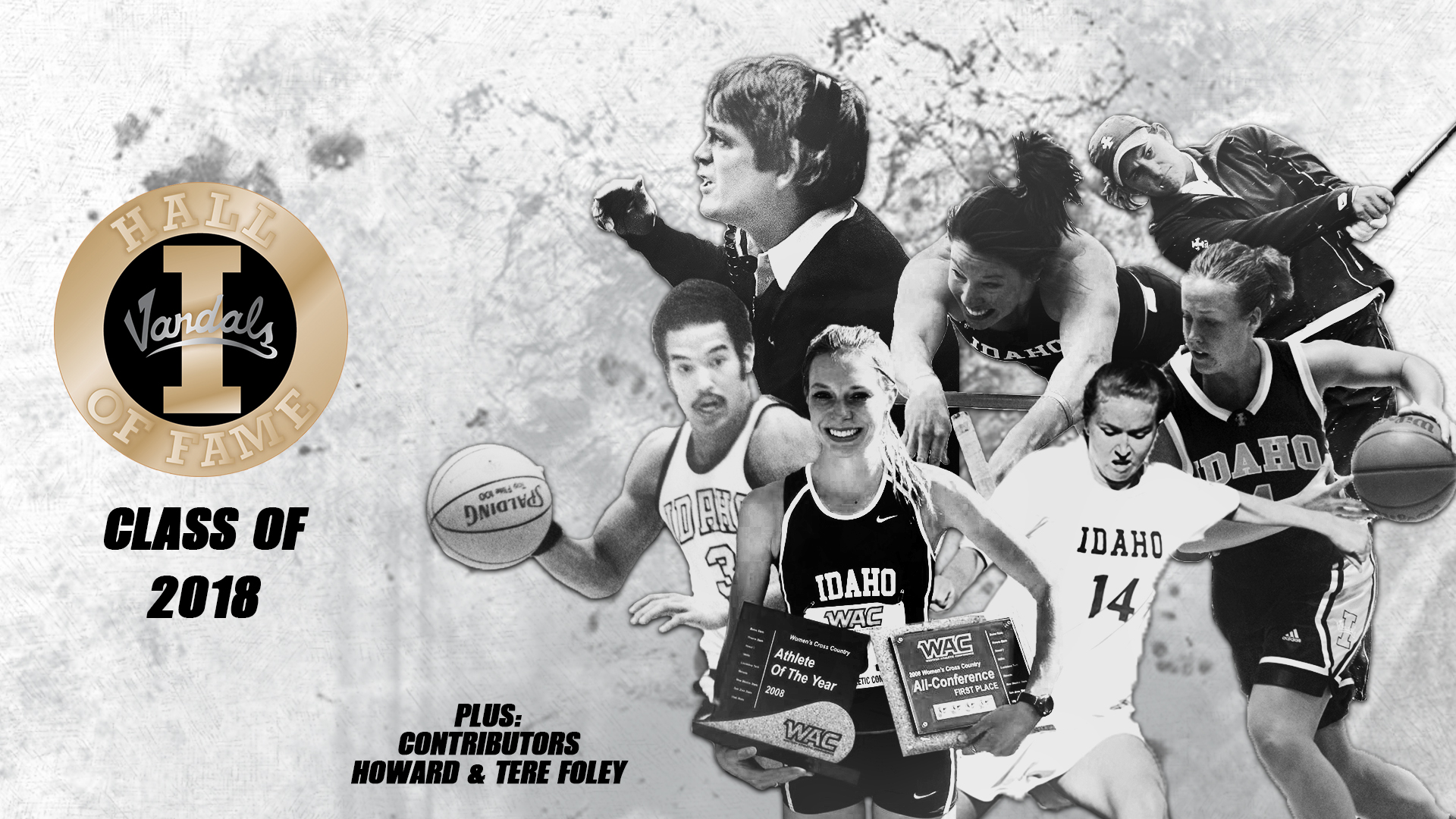 2018 Hall of Fame Graphic