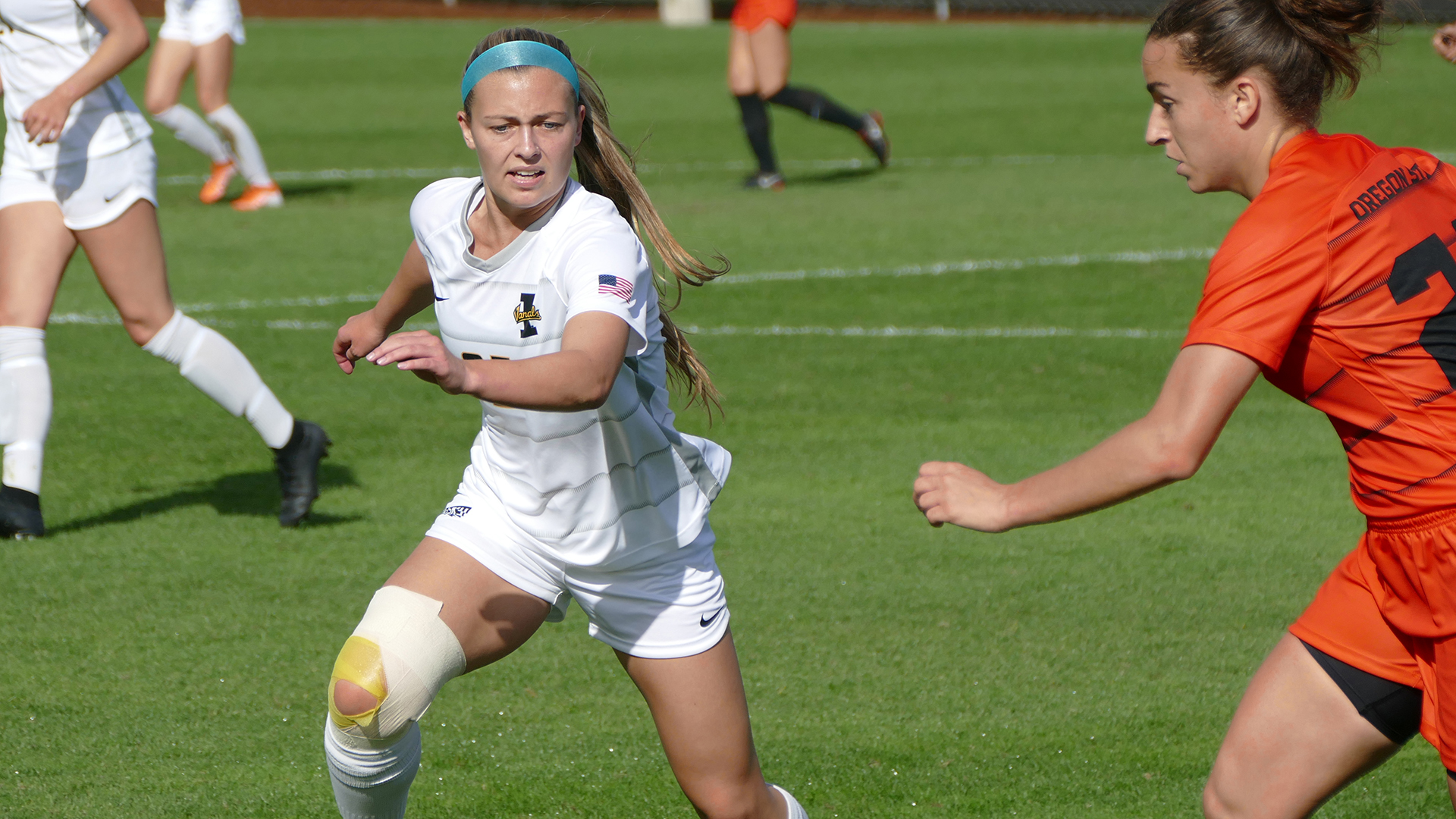 Hadleyfox - Best photos on dibujosparaimprimir