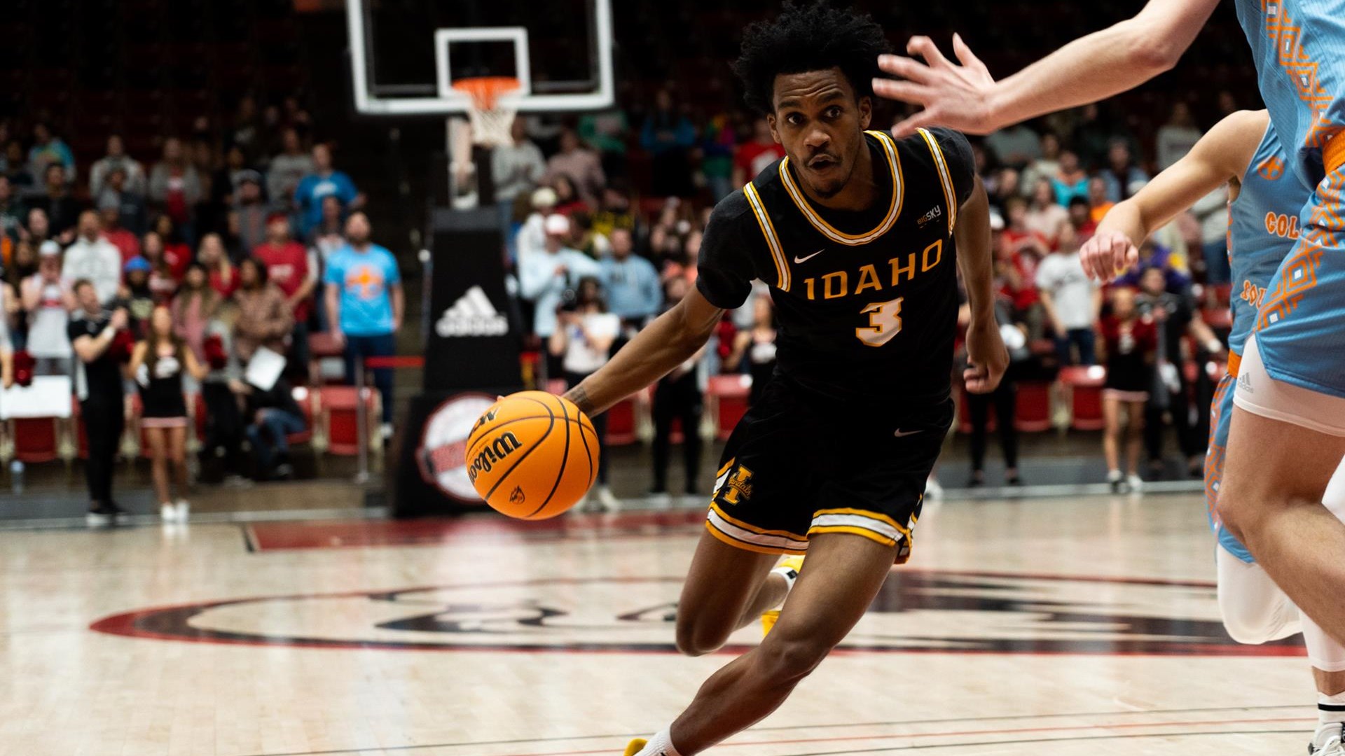 Dixon Named AllBig Sky Honorable Mention University of Idaho Athletics