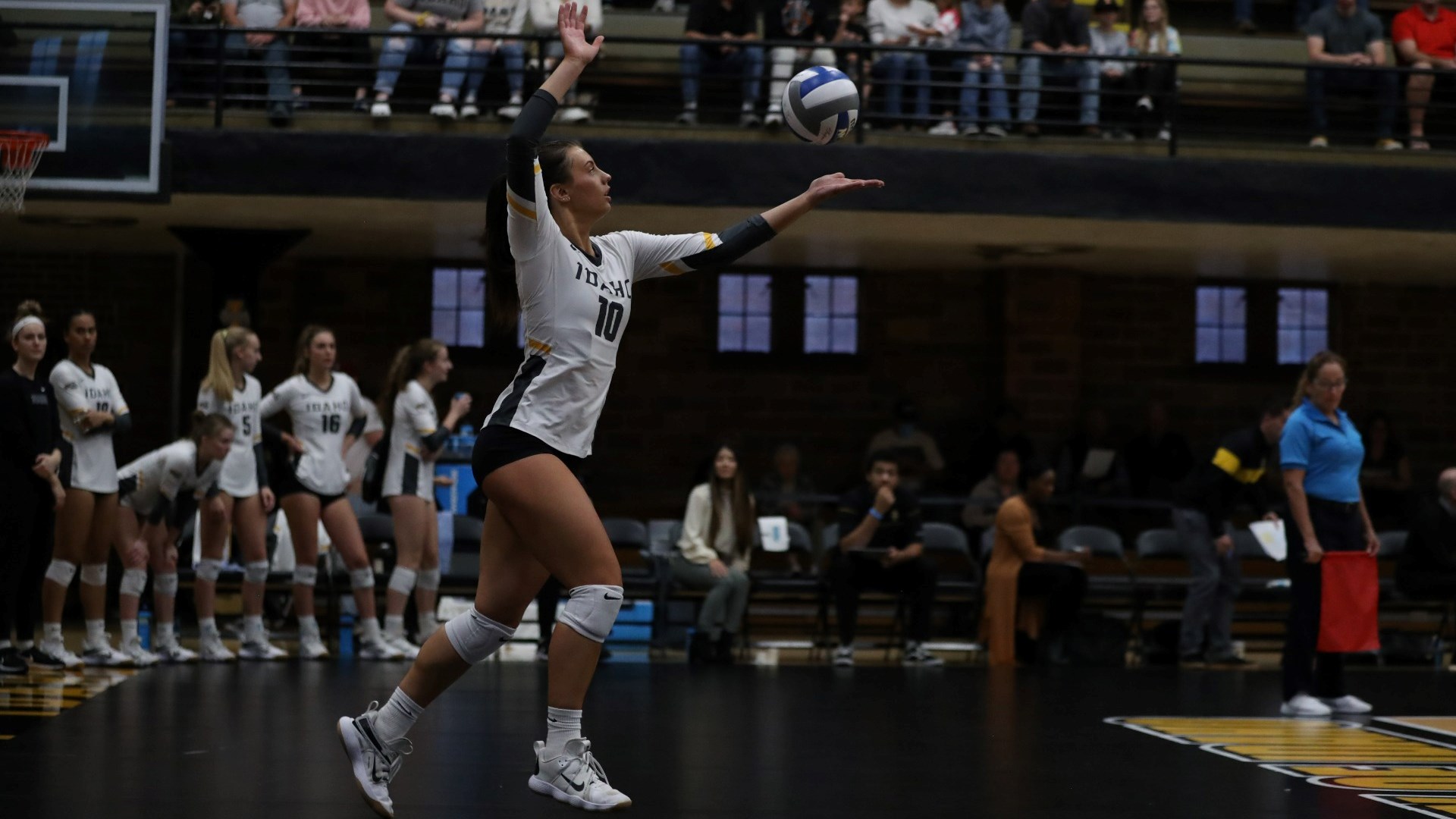 Allison Munday Volleyball University of Idaho Athletics