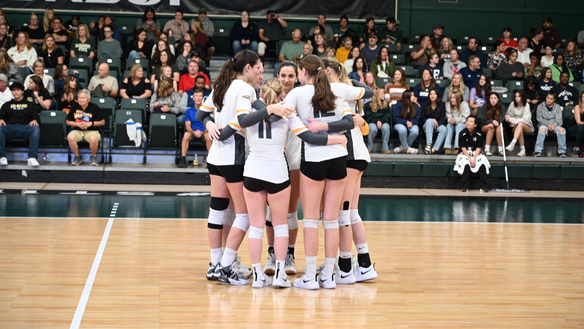 Idaho Volleyball Drops Match at Sac State University of Idaho Athletics