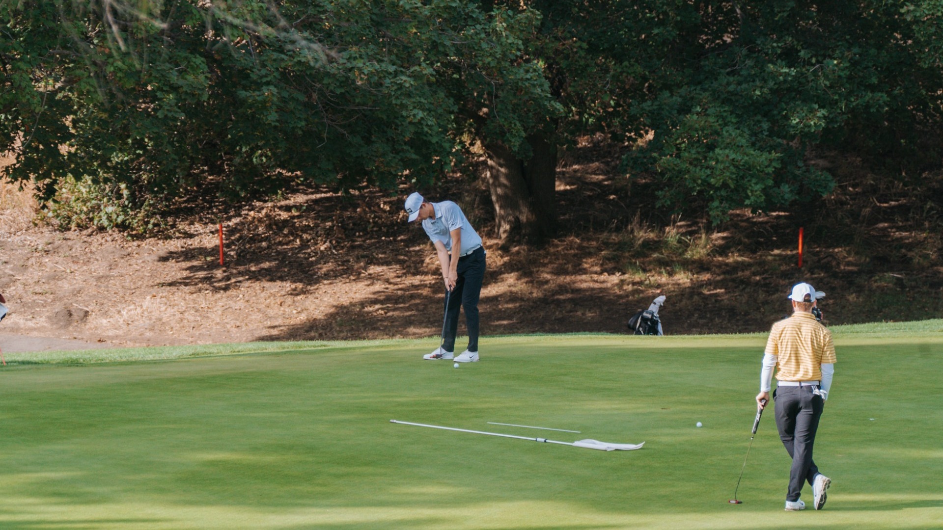golf putting on putting green 