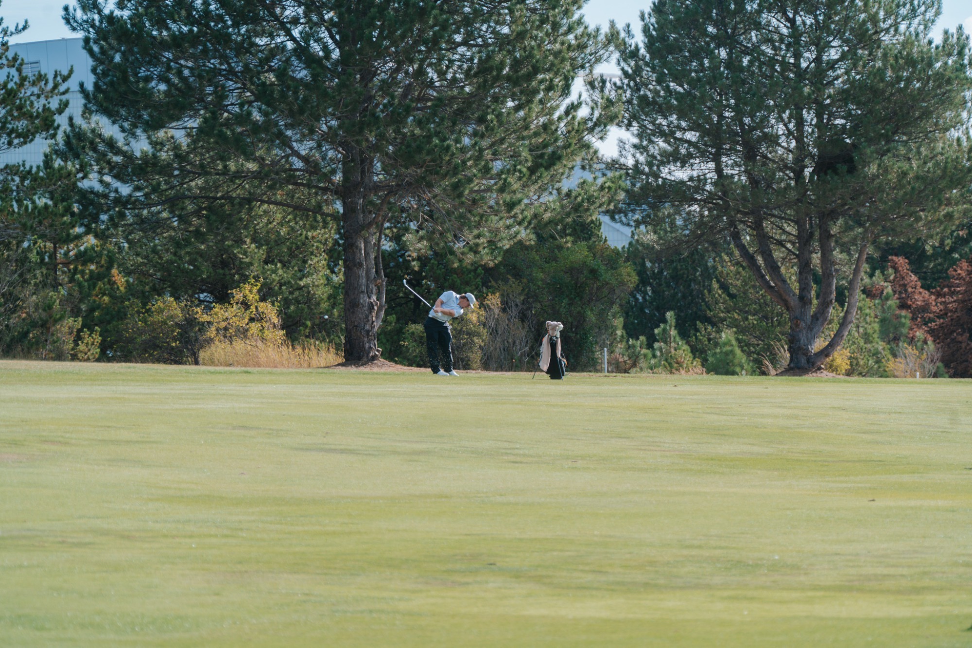 golf swing