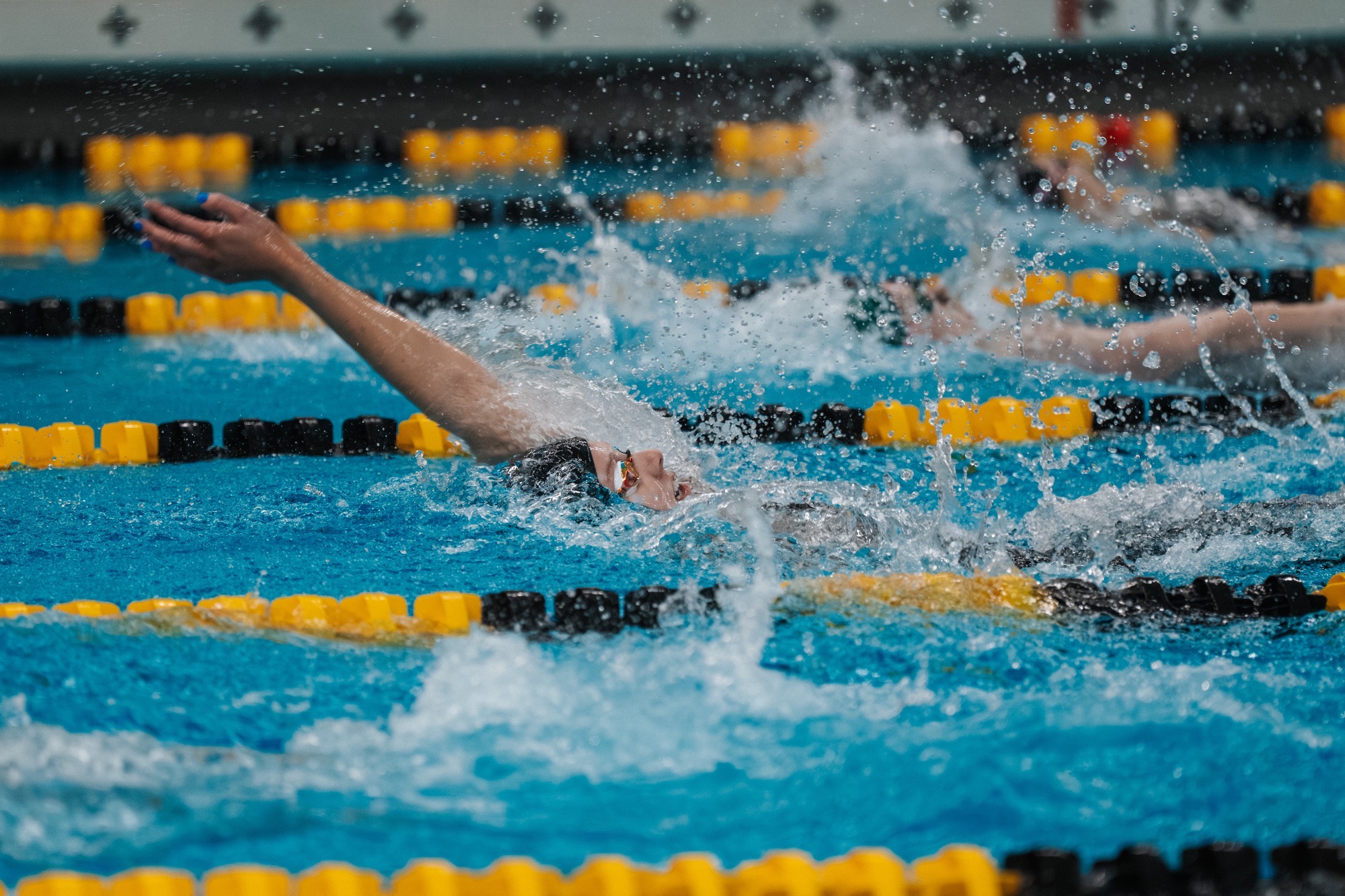 Swim Recap