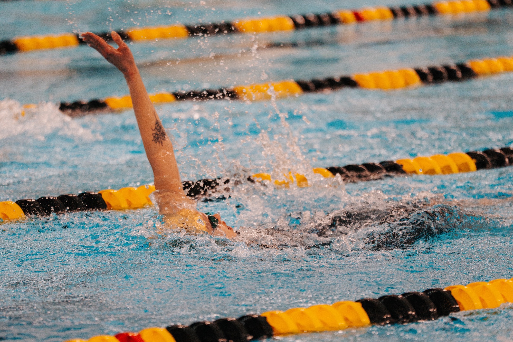 Swim Preview