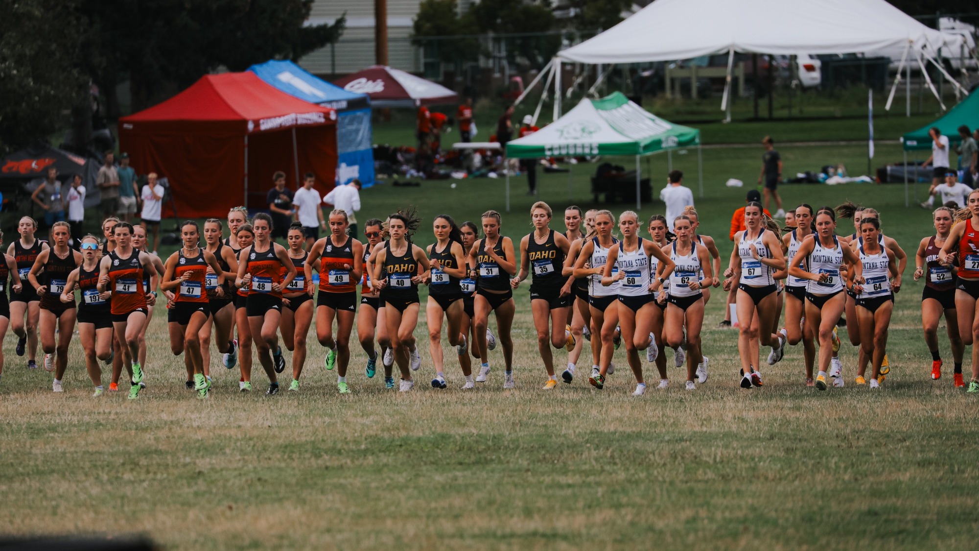 Vandal XC Women