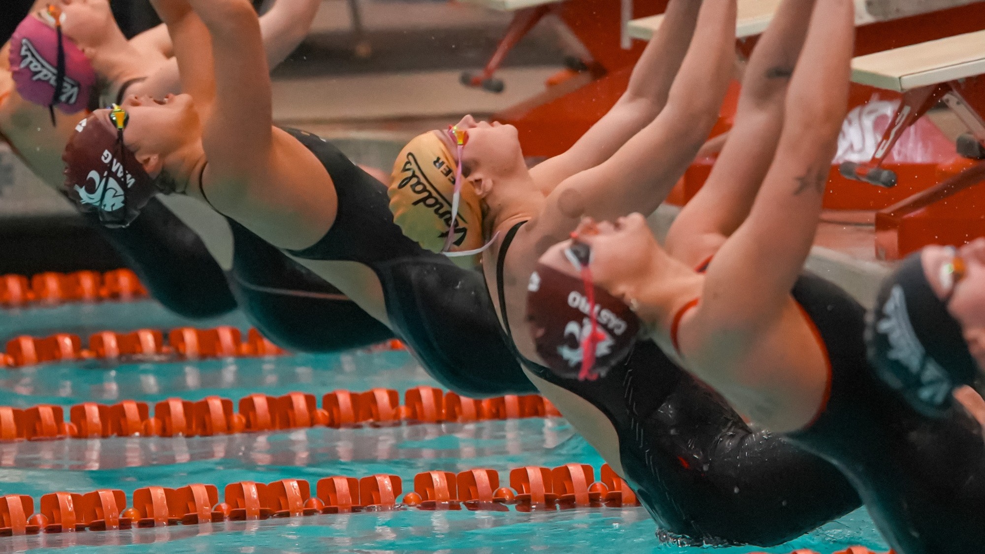 S/D Season Look Back