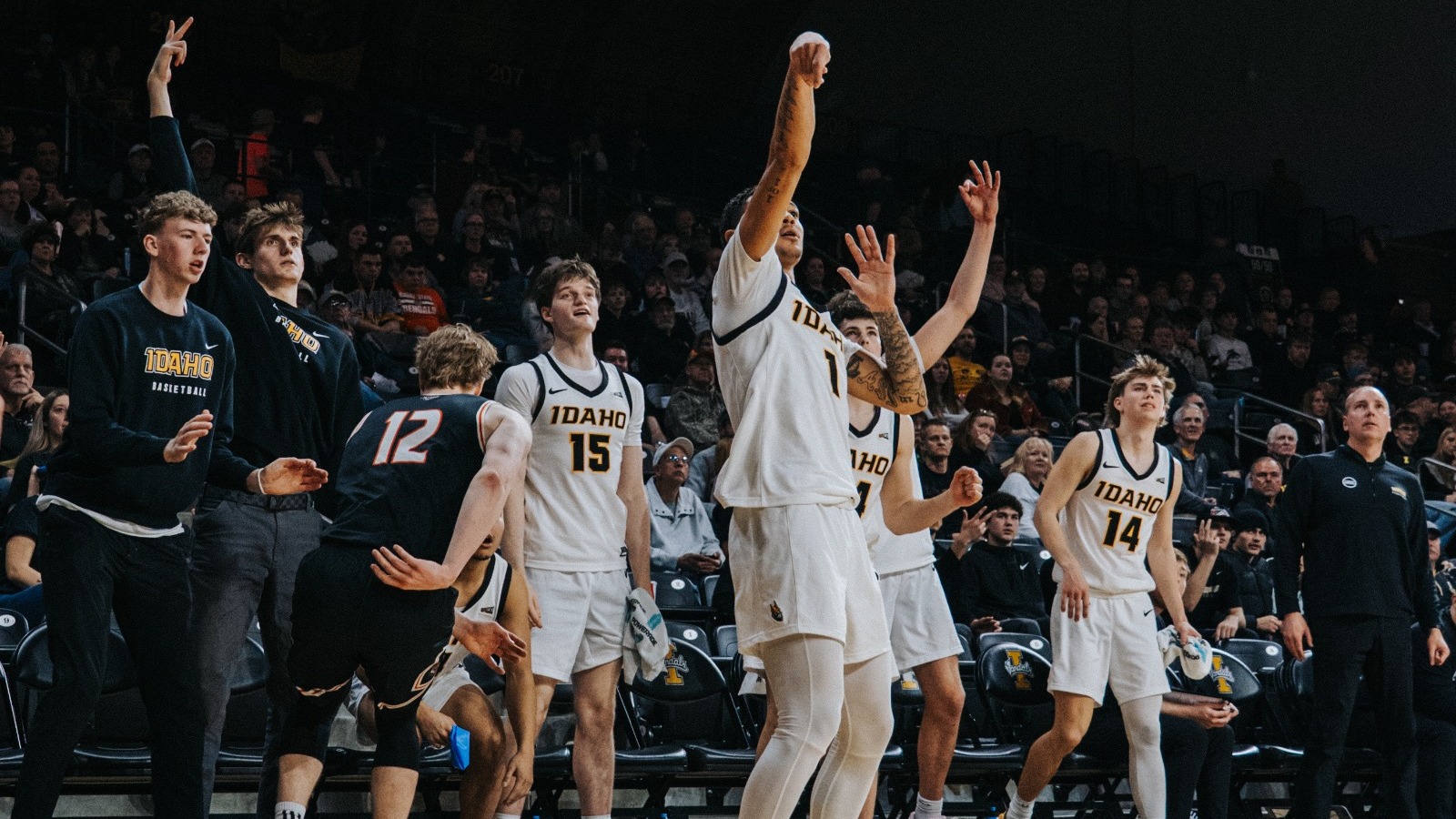MBB Bench Celebration