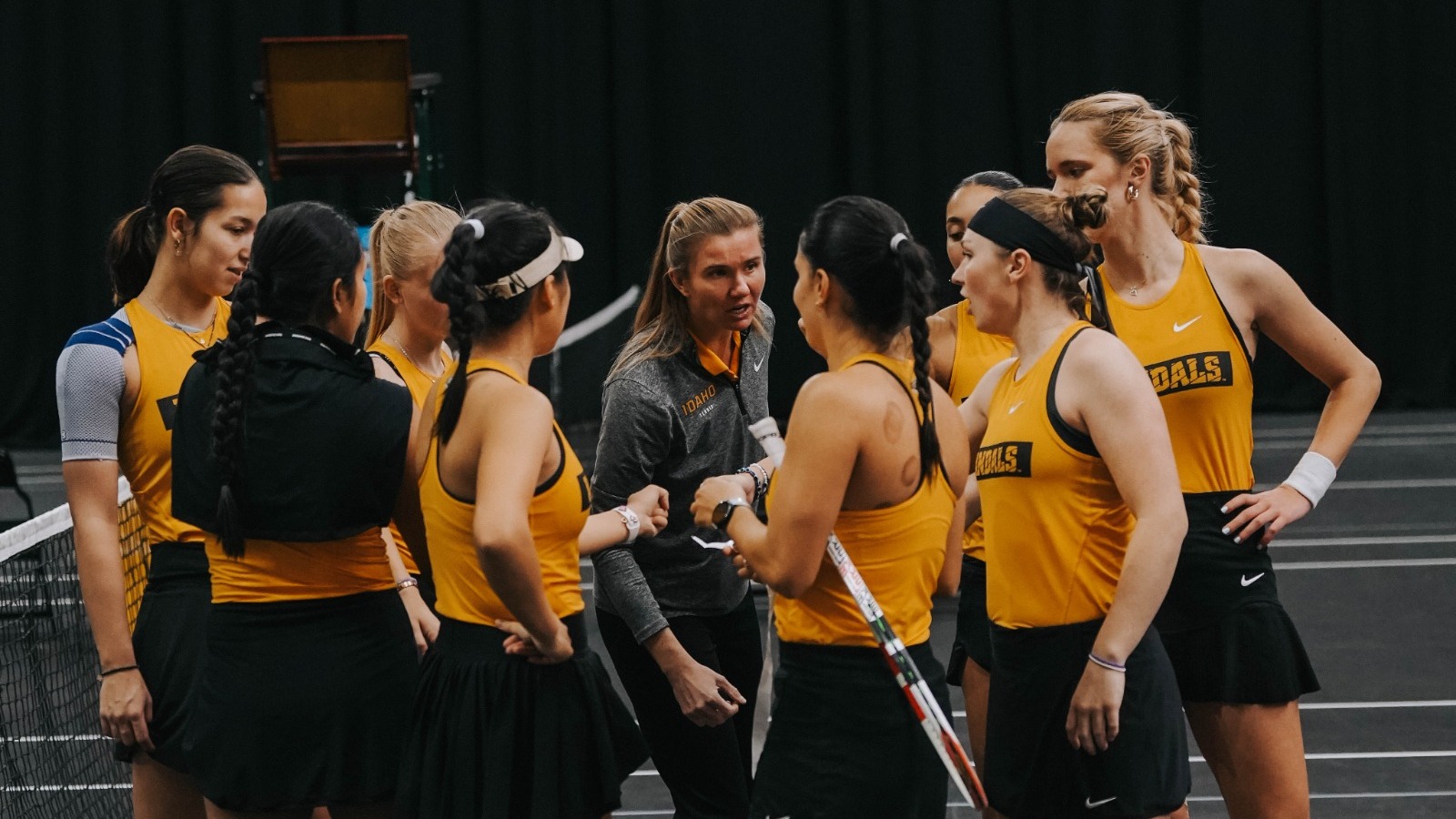 WTEN vs Weber State and Utah State 