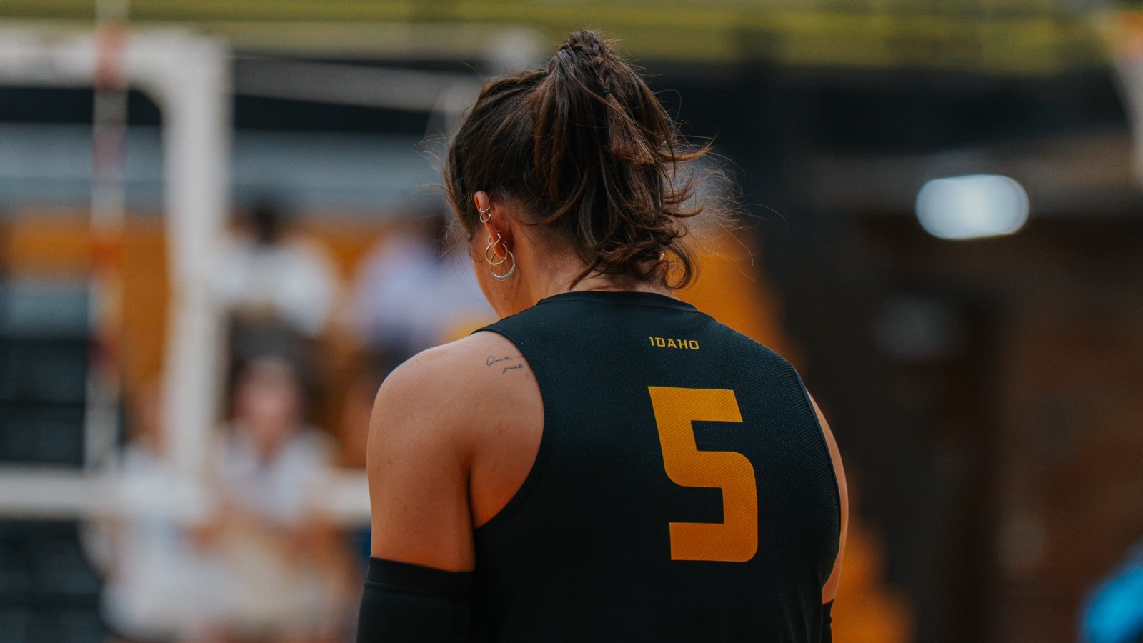 VB mizzou recap 2