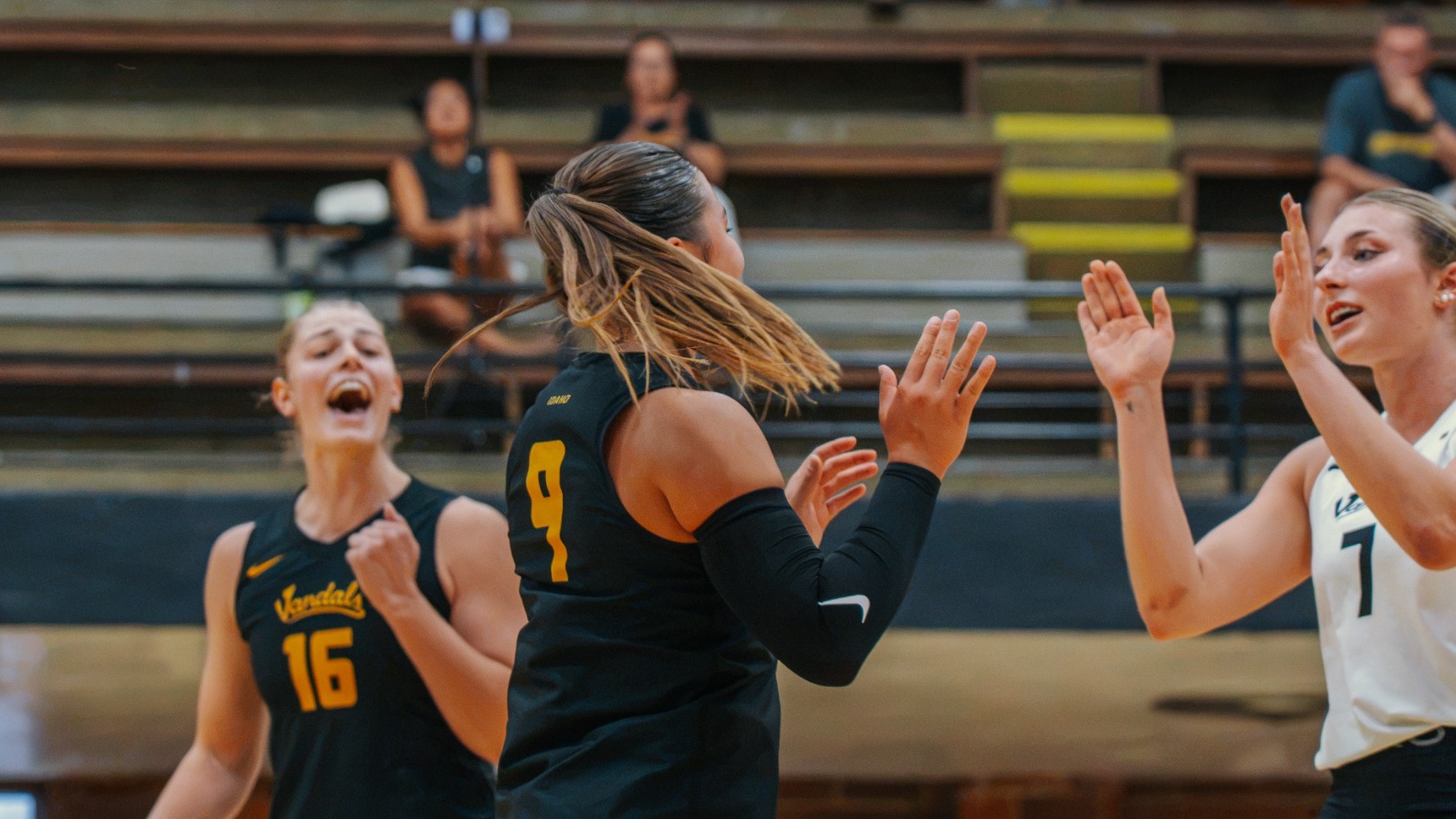 VB CSF Recap