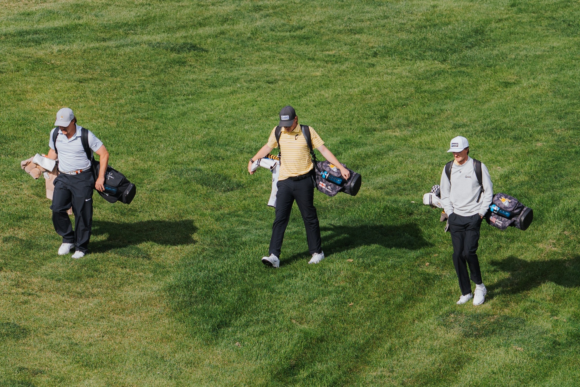 idaho mens golf players