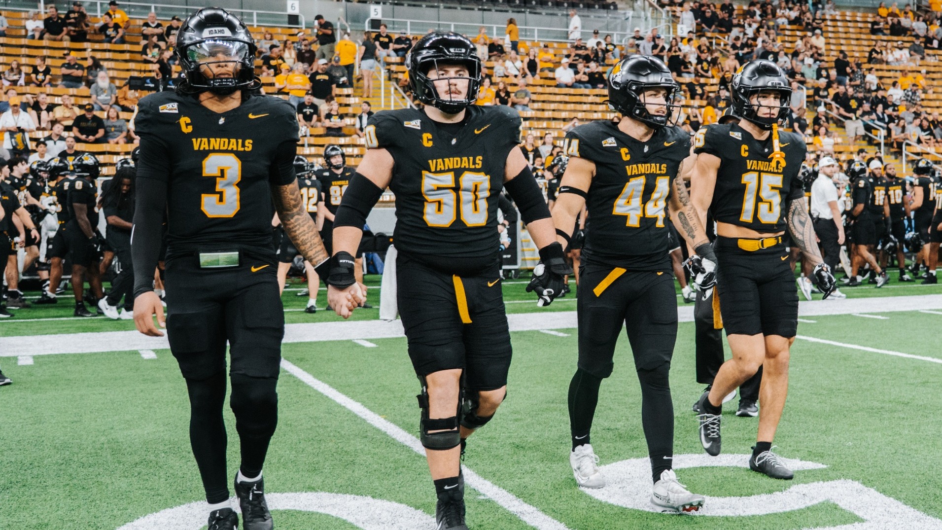 FB msu preview