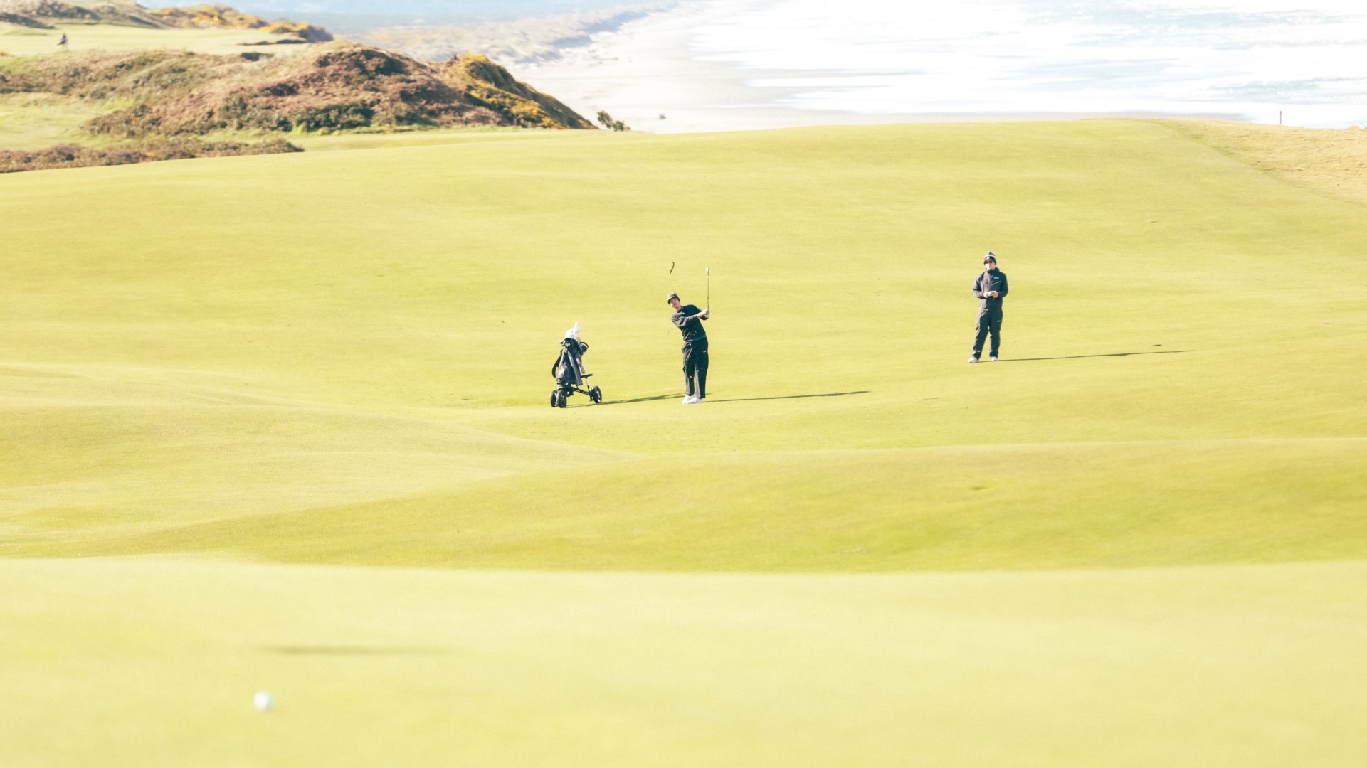 Golf polls