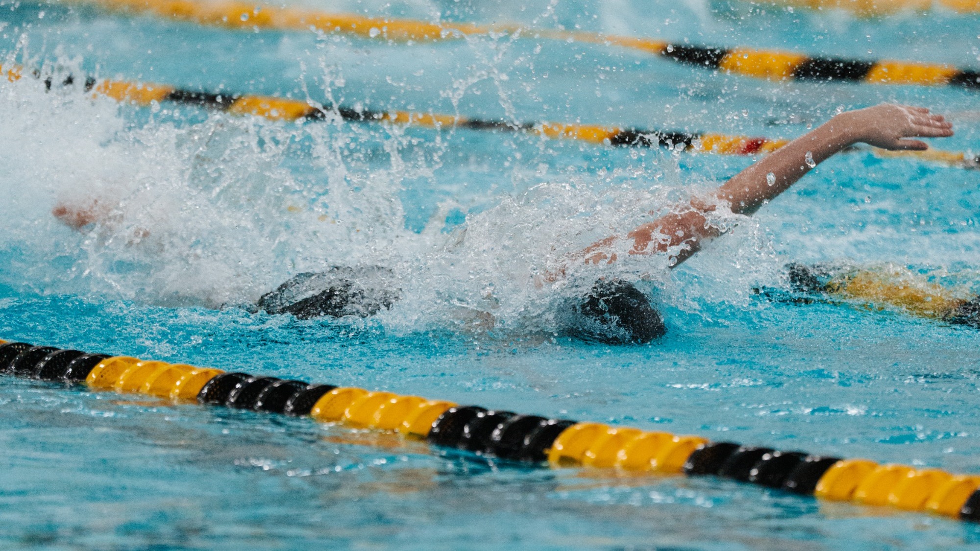 Swim COI Preview