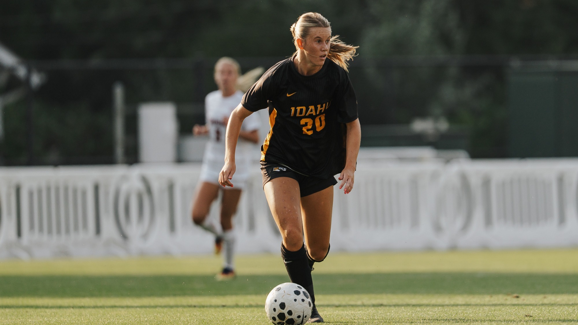 Alyssa Hamilton WSU