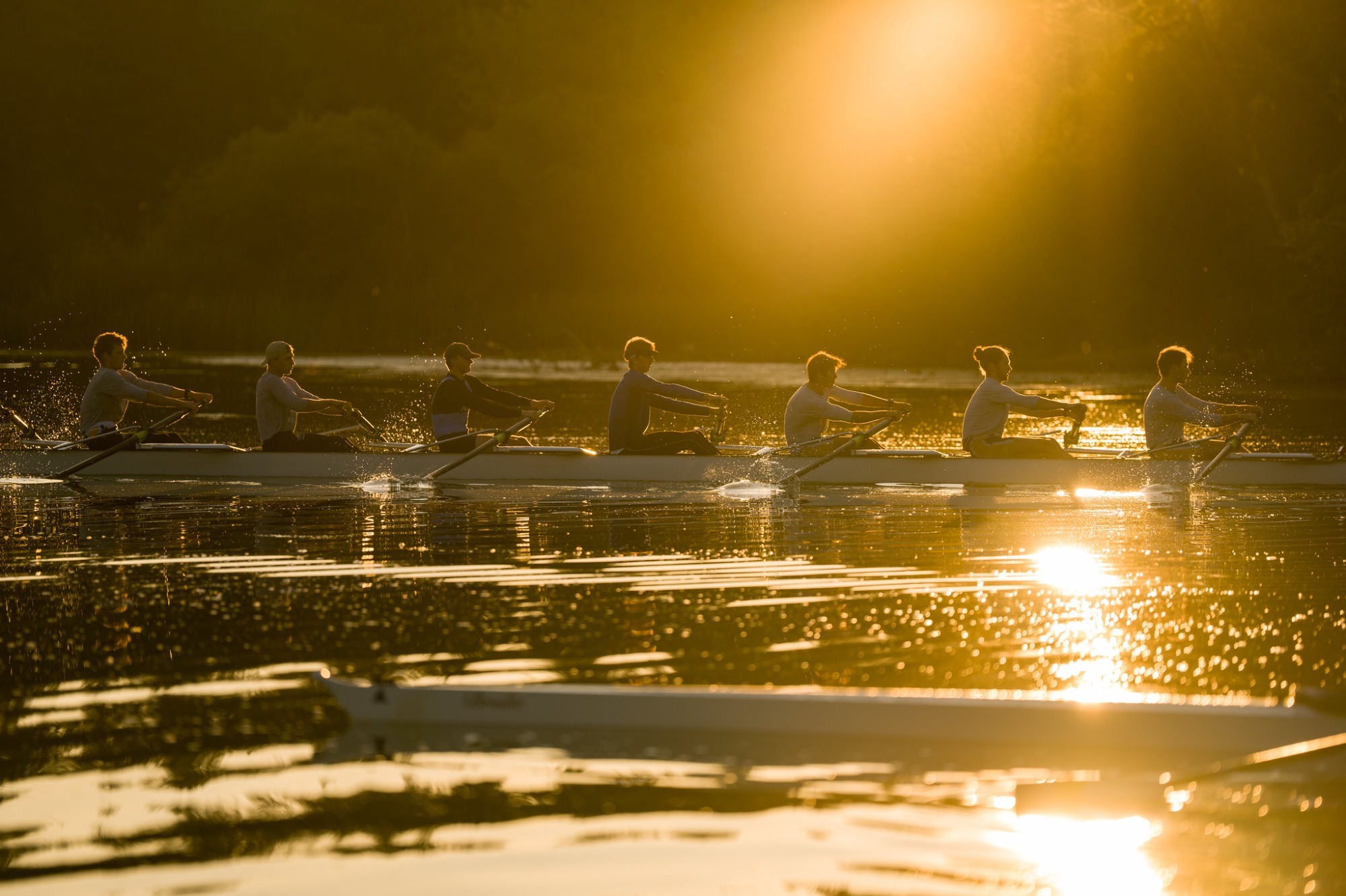 Preview Vikes rowing returns to the water following successful 202223