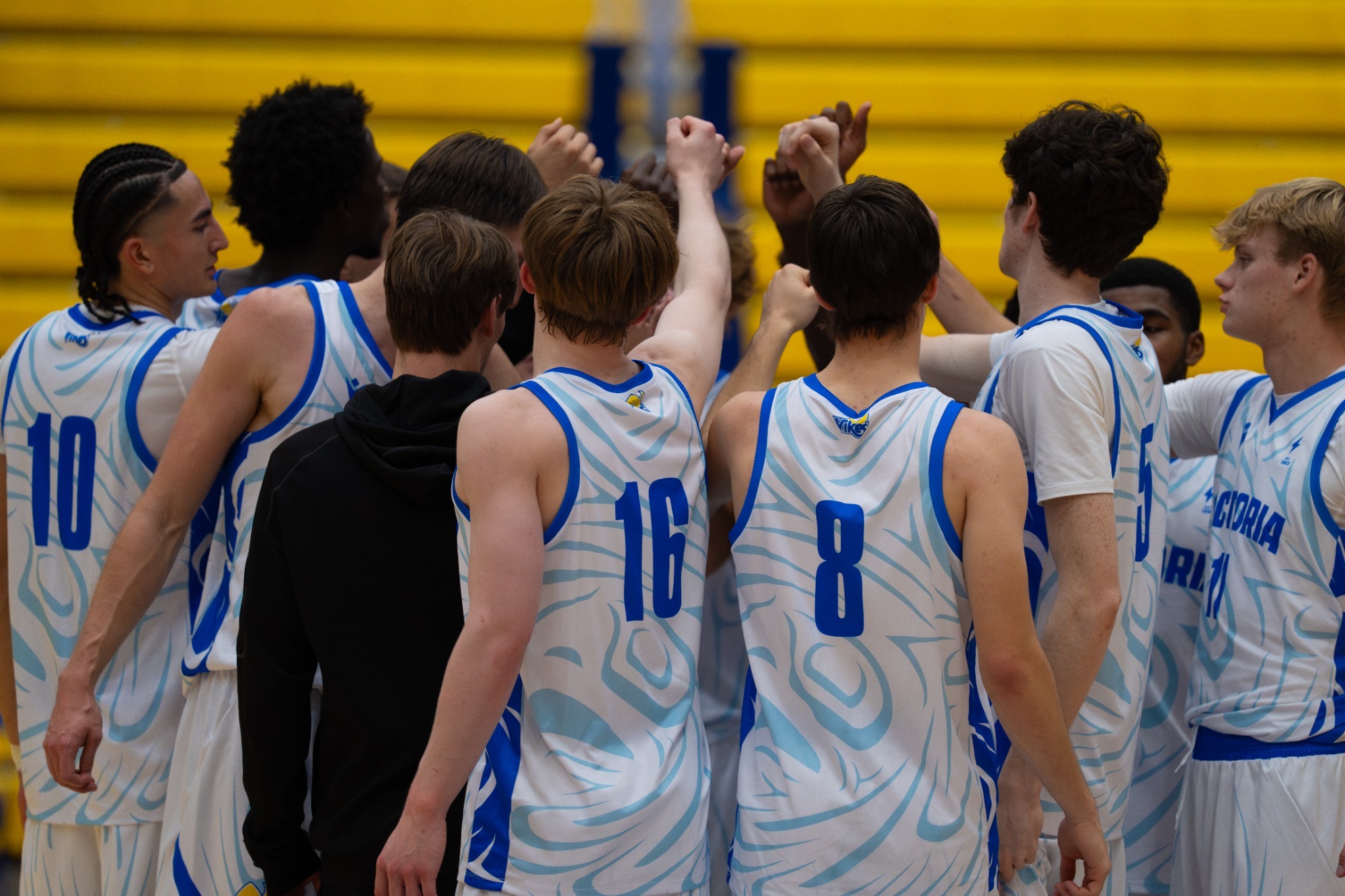 Vikes Preview - Jan 13