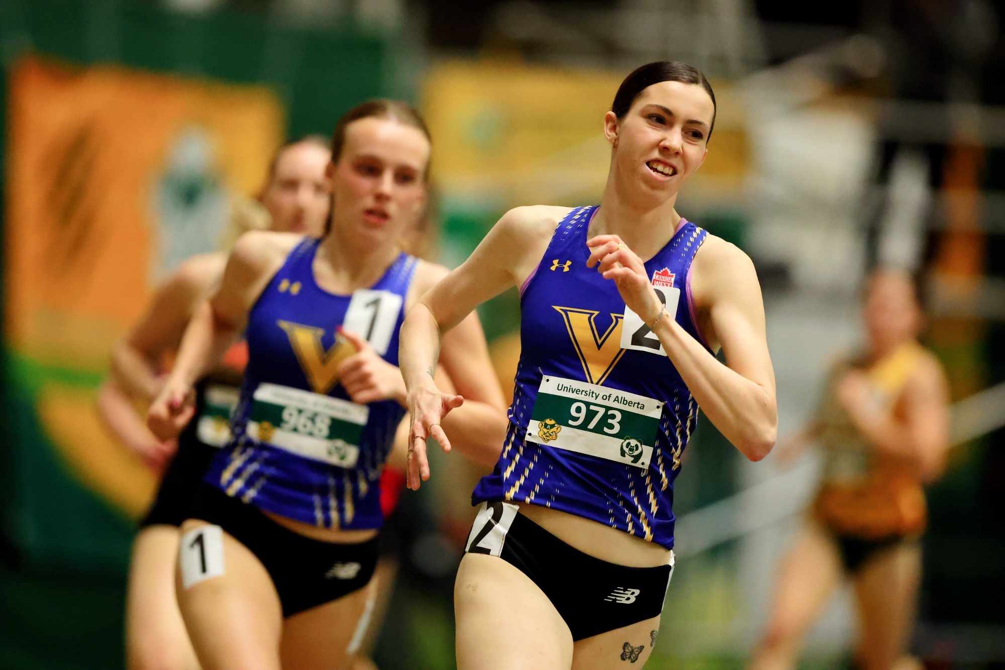 Panda Bear Open 2026