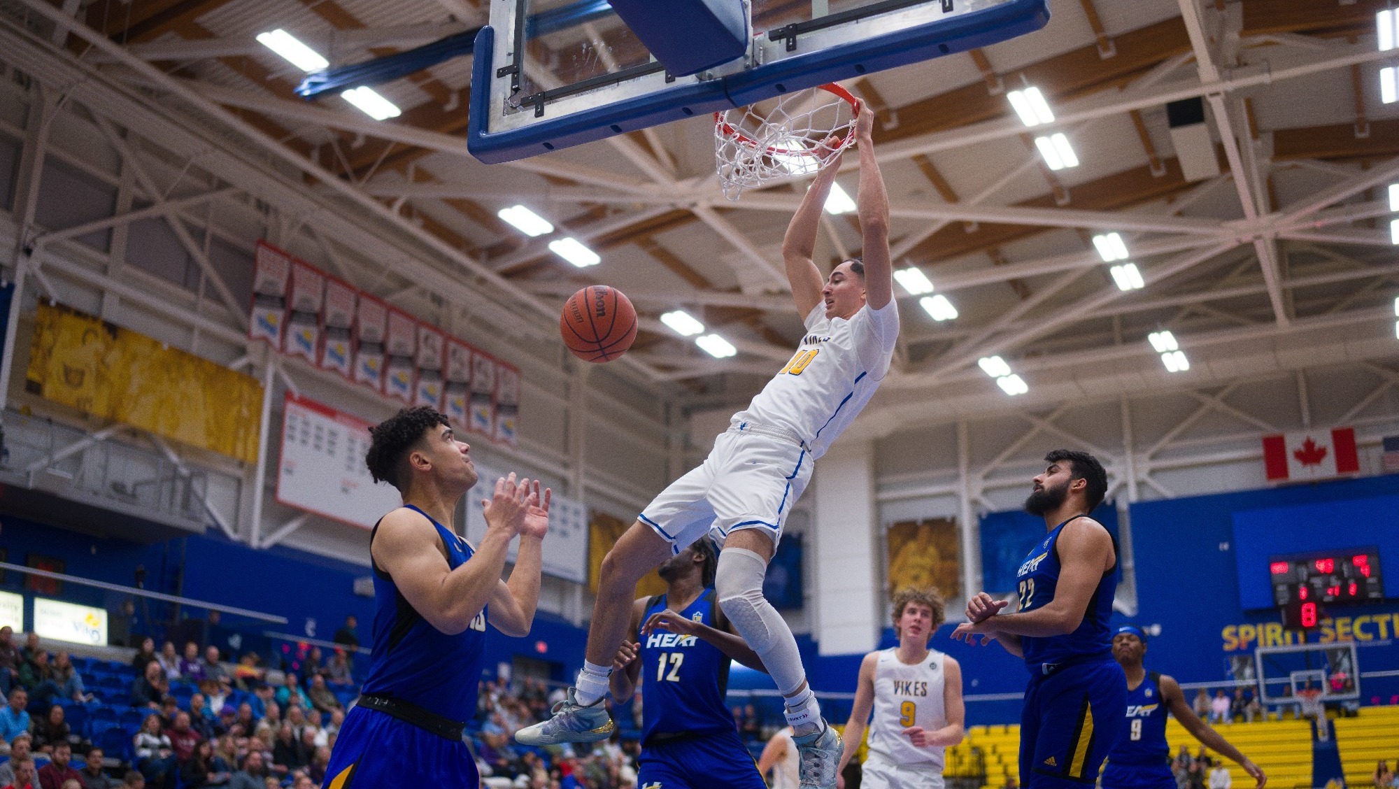 Shadynn Smid Bandits