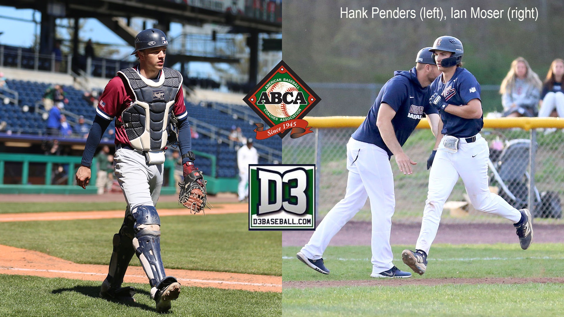 penders-moser all-region
