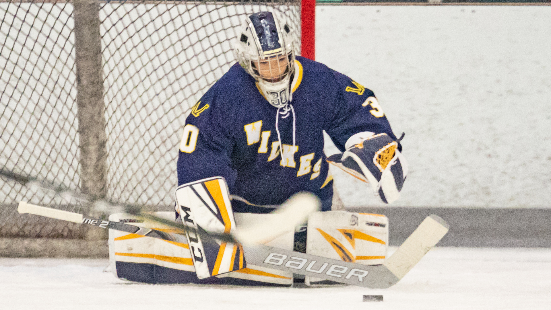 Allyson Joly 20212022 Women's Ice Hockey Wilkes University Athletics