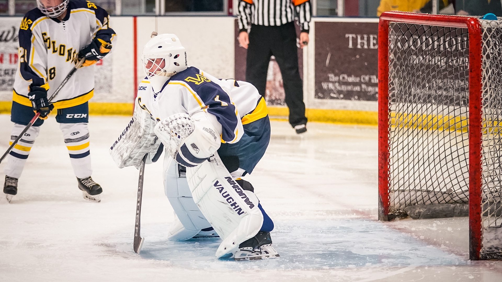 Wilkes Women’s Ice Hockey Drops Tough Road Contest at Alvernia Wilkes
