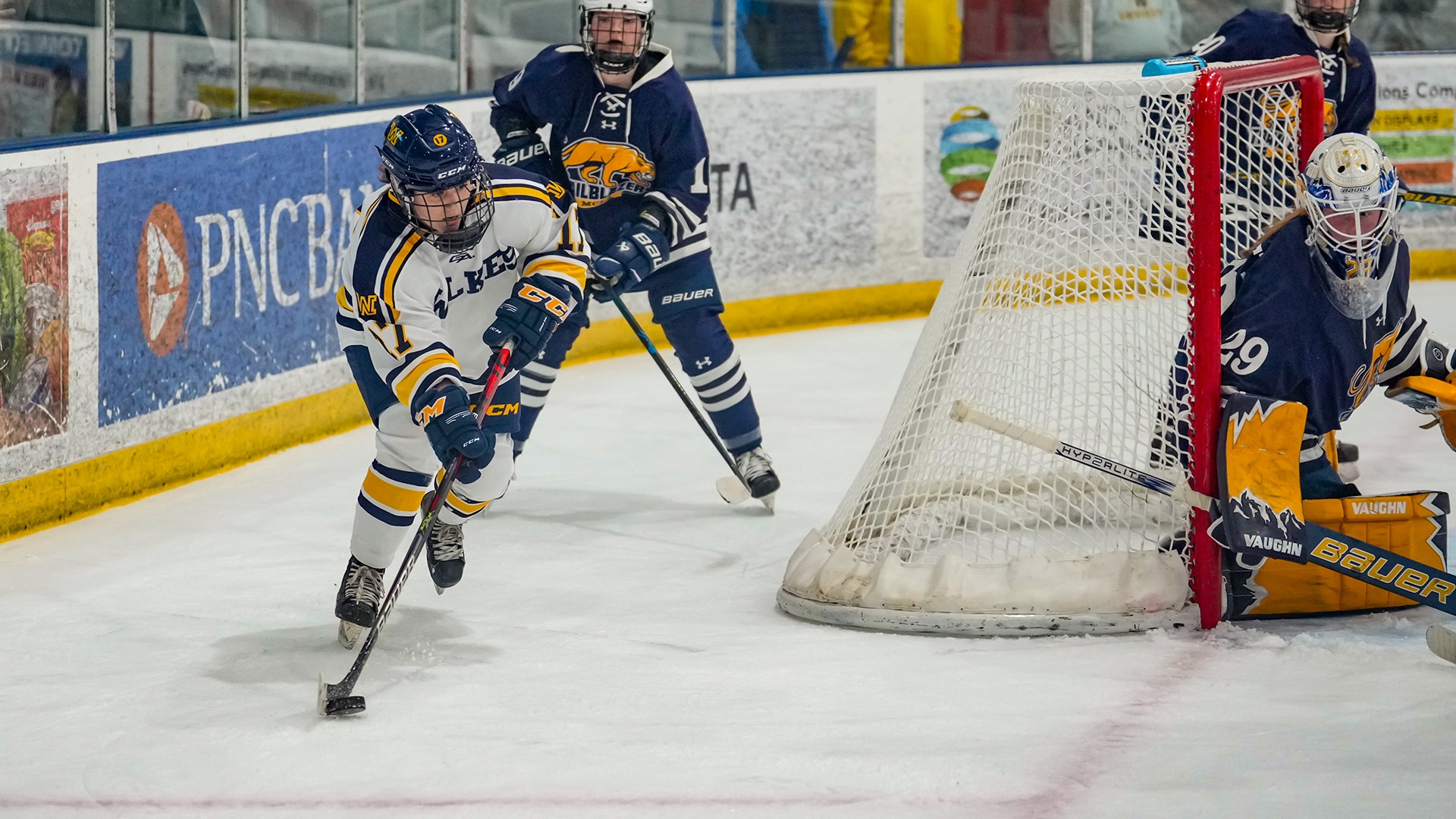 Milica Velcek 20232024 Women's Ice Hockey Wilkes University
