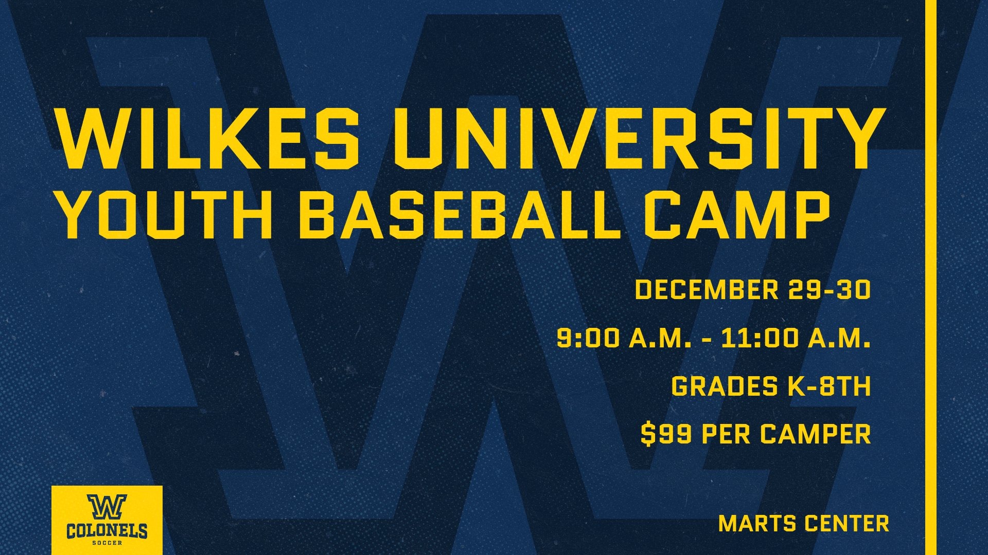 Baseball Youth Camp