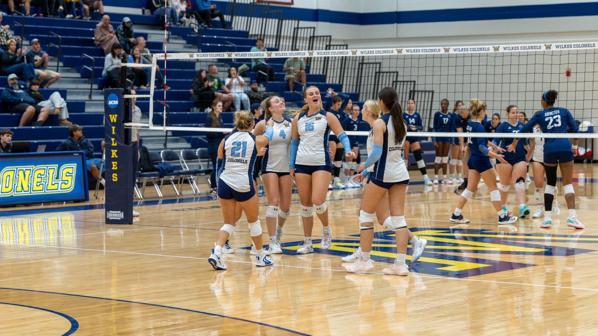 WVB Win