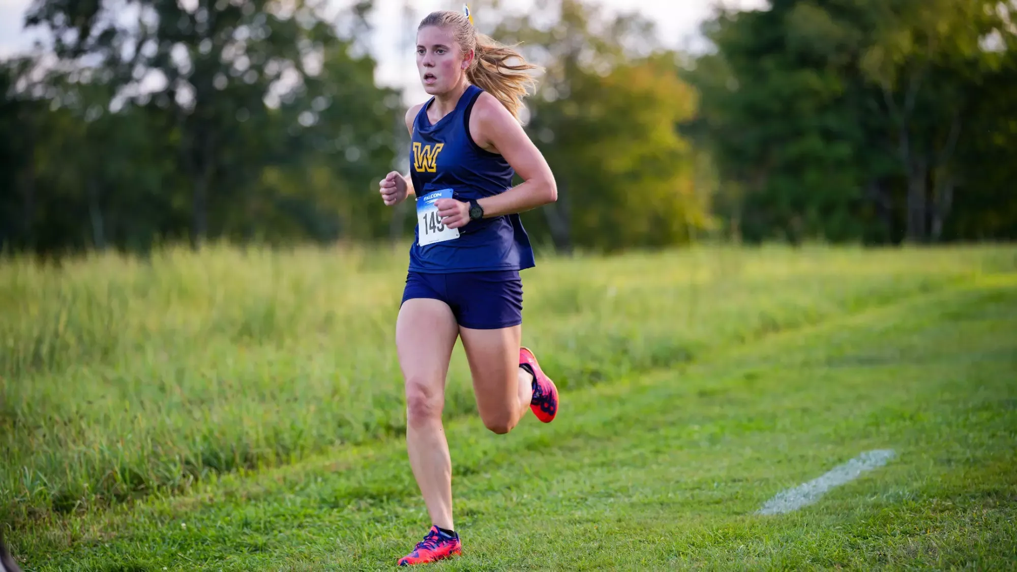 WXC Mis Invitational 
