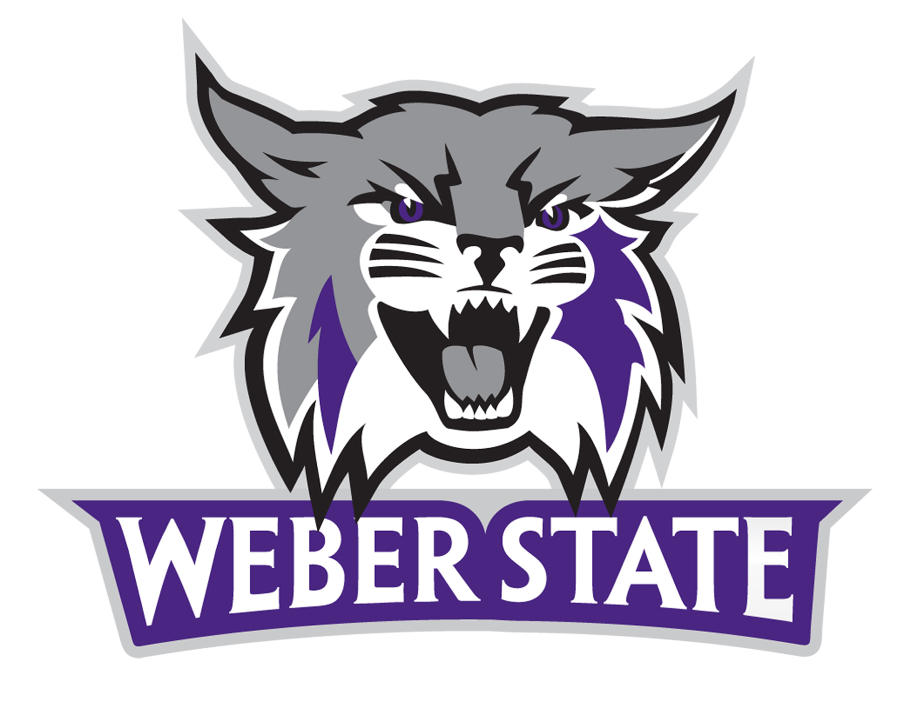 Opponent Logo