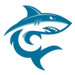 Opponent Logo