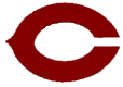Opponent Logo