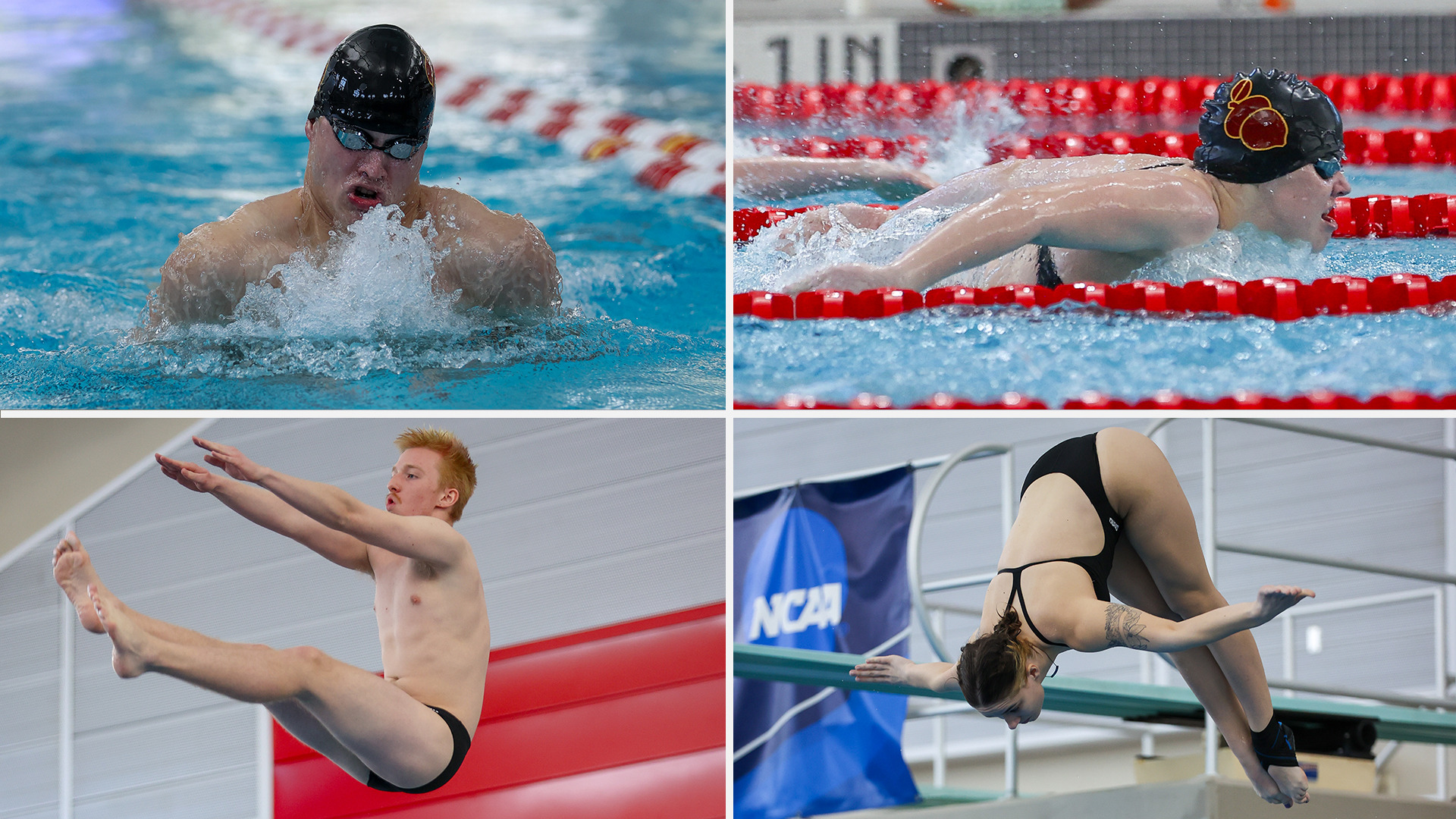 Swimming Preview Photo