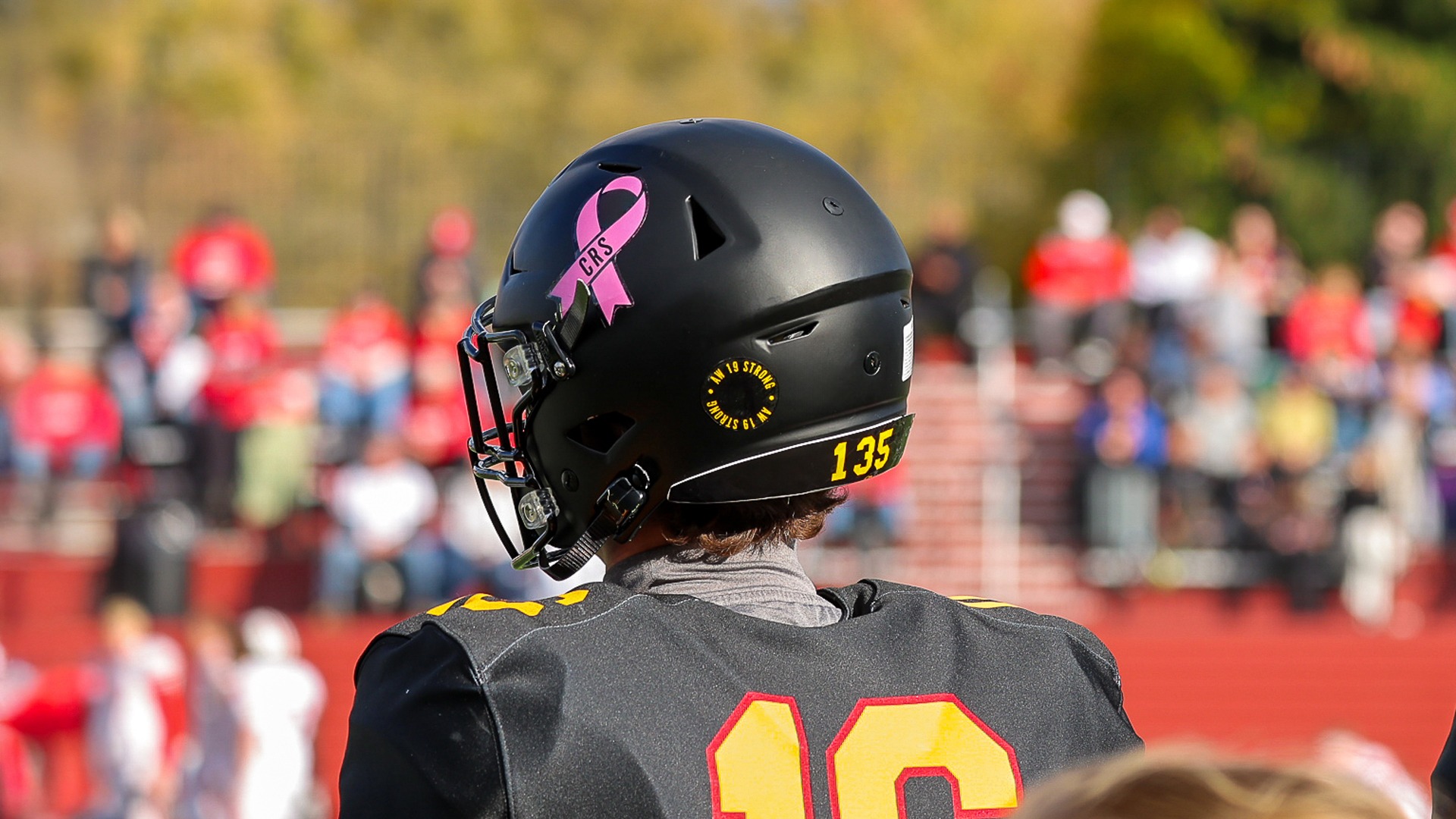 Back of black football helmet